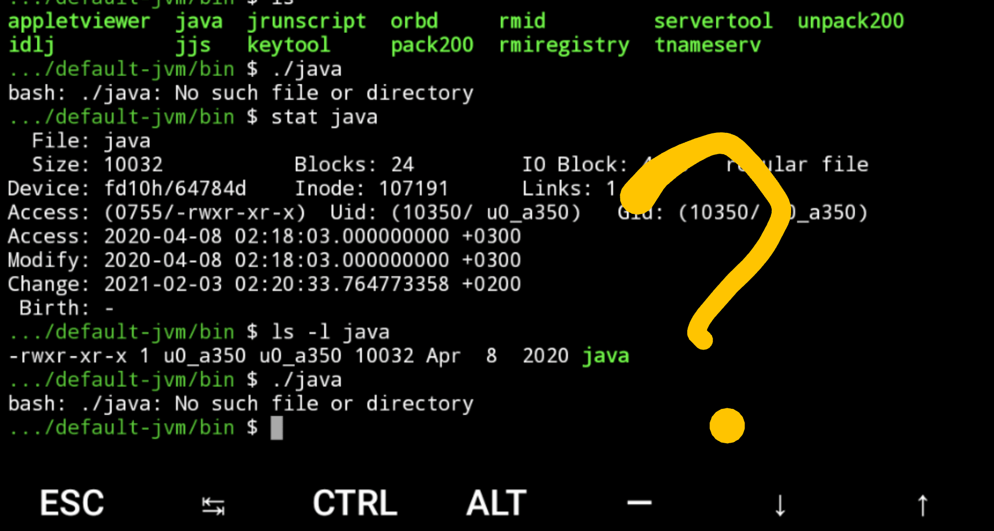 Shell could seem to be stupid saying that file does not exist but you
know it exists. However in this case shell is actually right. The
dynamic linker is not available at standard path. Use strace to see
what's going
on.